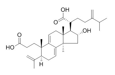 Poricoic acid A